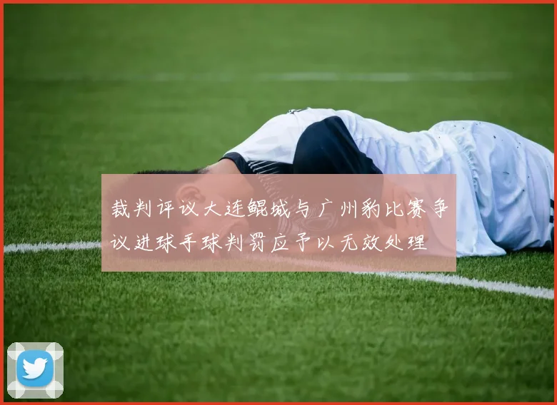 裁判评议大连鲲城与广州豹比赛争议进球手球判罚应予以无效处理