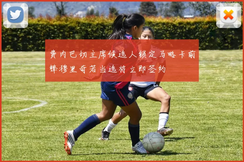 费内巴切主席候选人锁定马略卡前锋穆里奇若当选将立即签约