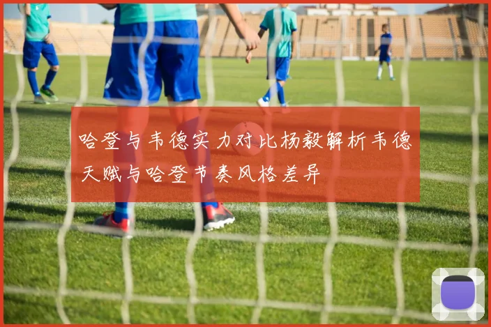 哈登与韦德实力对比杨毅解析韦德天赋与哈登节奏风格差异