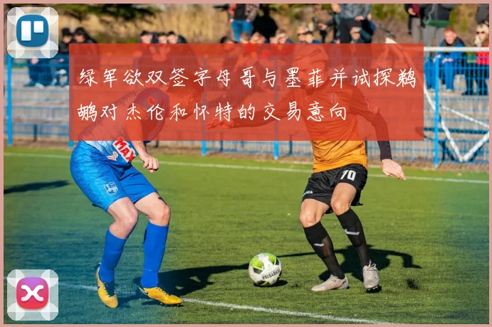 绿军欲双签字母哥与墨菲并试探鹈鹕对杰伦和怀特的交易意向